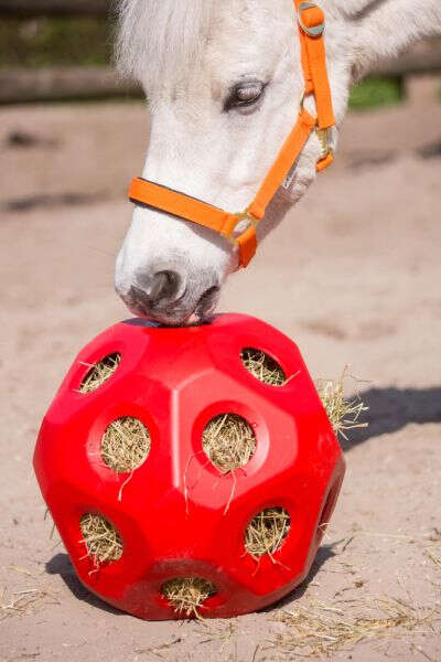 KERBL Futterspielball HeuBoy für Pferde